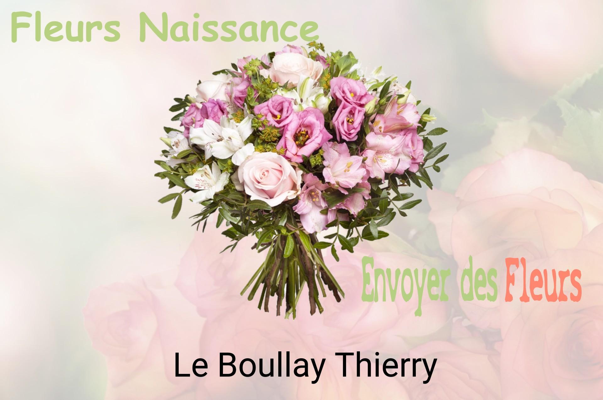 Bouquet de fleurs de naissance livré à Le Boullay-Thierry